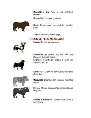 Cuernos | PDF