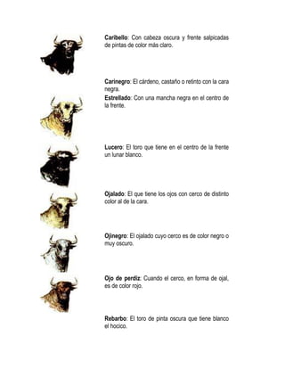 Cuernos | PDF