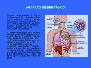APARATO RESPIRATORIO El aparato respiratorio es el conjunto de órganos cuya función principal es aportar oxígeno al organismo para su utilización en los distintos tejidos a partir del aire del ambiente, así como facilitar la eliminación del anhídrido carbónico (CO2), fruto de la combustión a nivel celular.  El aparato respiratorio es el conjunto de órganos cuya función principal es aportar oxígeno al organismo para su utilización en los distintos tejidos a partir del aire del ambiente, así como facilitar la eliminación del anhídrido carbónico (CO2), fruto de la combustión a nivel celular.Para ello existen una serie de vías y conductos (cavidad oral, fosas nasales, faringe, laringe, traquea, bronquios) que llevan el aire del exterior hasta los pulmones, donde se realiza este intercambio de gases. 