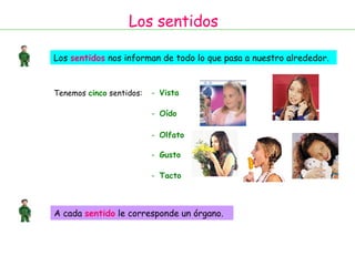 Los sentidos Los  sentidos   nos informan de todo lo que pasa a nuestro alrededor. Tenemos  cinco  sentidos: -   Vista -   Oído -   Olfato -   Gusto -   Tacto  A cada  sentido   le corresponde un órgano. 