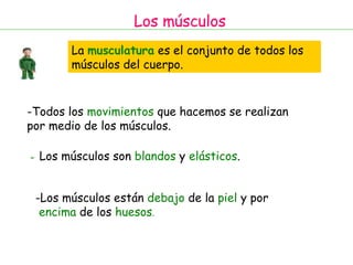 Los músculos La  musculatura   es el conjunto de todos los músculos del cuerpo. Todos los  movimientos  que hacemos se realizan  por medio de los músculos. -   Los músculos son  blandos  y  elásticos . Los músculos están  debajo  de la  piel  y por encima  de los  huesos . 