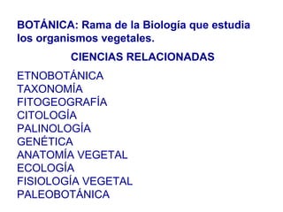 BOTÁNICA: Rama de la Biología que estudia los organismos vegetales. CIENCIAS RELACIONADAS ETNOBOTÁNICA TAXONOMÍA FITOGEOGRAFÍA CITOLOGÍA PALINOLOGÍA GENÉTICA ANATOMÍA VEGETAL ECOLOGÍA FISIOLOGÍA VEGETAL PALEOBOTÁNICA 