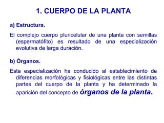 CUERPO DE LA PLANTA a) Estructura.  El complejo cuerpo pluricelular de una planta con semillas (espermatófito) es resultado de una especialización evolutiva de larga duración. b) Órganos. Esta especialización ha conducido al establecimiento de diferencias morfológicas y fisiológicas entre las distintas partes del cuerpo de la planta y ha determinado la aparición del concepto de   órganos de la planta . 