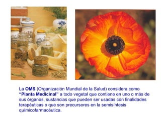 La  OMS  (Organización Mundial de la Salud) considera como  “Planta Medicinal”  a todo vegetal que contiene en uno o más de sus órganos, sustancias que pueden ser usadas con finalidades terapéuticas o que son precursores en la semisíntesis químicofarmacéutica. 