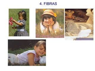 4. FIBRAS 