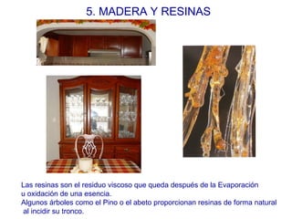 5. MADERA Y RESINAS Las resinas son el residuo viscoso que queda después de la Evaporación  u oxidación de una esencia.  Algunos árboles como el Pino o el abeto proporcionan resinas de forma natural al incidir su tronco.  