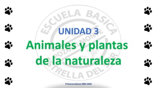 UNIDAD 3
Animales y plantas
de la naturaleza
Primeros básicos EBES 2020
 