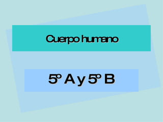 Cuerpo humano 5º A y 5º B   