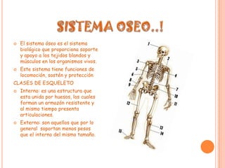 El sistema óseo es el sistema biológico que proporciona soporte y apoyo a los tejidos blandos y músculos en los organismos vivos. Este sistema tiene funciones de locomoción, sostén y protecciónCLASES DE ESQUELETOInterno: es una estructura que esta unida por huesos, los cuales forman un armazón resistente y al mismo tiempo presenta articulaciones.Externo: son aquellos que por lo general  soportan menos pesos que el interno del mismo tamaño.SISTEMA OSEO..!