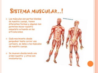    Sistema muscular..!Los músculos son partes blandas de nuestro cuerpo, tienen diferentes formas y algunos nos permiten mover nuestro esqueleto actuando en las articulaciones.Cada movimiento desde parpadear hasta correr una carreara, se debe a los músculos de nuestro cuerpo.Se mueven obedeciendo una orden nuestra  y otros son involuntarios.