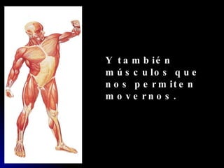 Y también músculos que nos permiten movernos. 