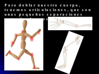 Para doblar nuestro cuerpo, tenemos articulaciones, que son unas pequeñas separaciones entre los huesos. 