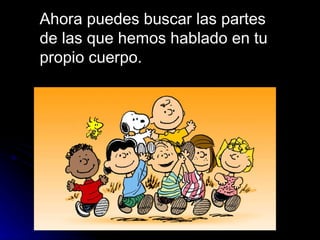 Ahora puedes buscar las partes de las que hemos hablado en tu propio cuerpo.