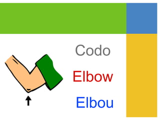 Cuerpo humano | PPT