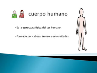cuerpo humano ,[object Object]