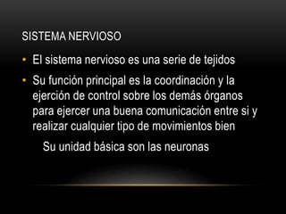 SISTEMA NERVIOSO
• El sistema nervioso es una serie de tejidos
• Su función principal es la coordinación y la
  ejerción de control sobre los demás órganos
  para ejercer una buena comunicación entre si y
  realizar cualquier tipo de movimientos bien
    Su unidad básica son las neuronas
 