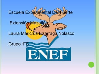 Escuela Experimental Del Fuerte

Extensión Mazatlán

Laura Maricruz Lizárraga Nolasco

Grupo 1”C
 