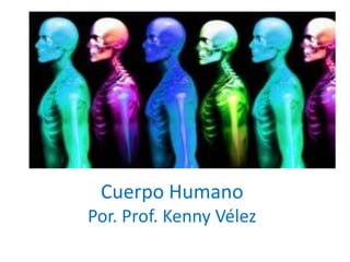 Cuerpo Humano
Por. Prof. Kenny Vélez

 