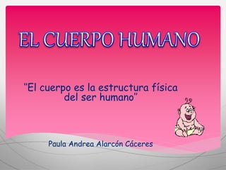 ‘‘El cuerpo es la estructura física
del ser humano’’
Paula Andrea Alarcón Cáceres
 