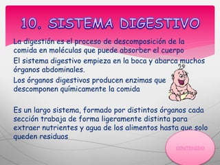 La digestión es el proceso de descomposición de la
comida en moléculas que puede absorber el cuerpo
El sistema digestivo empieza en la boca y abarca muchos
órganos abdominales.
Los órganos digestivos producen enzimas que
descomponen químicamente la comida
Es un largo sistema, formado por distintos órganos cada
sección trabaja de forma ligeramente distinta para
extraer nutrientes y agua de los alimentos hasta que solo
queden residuos
 