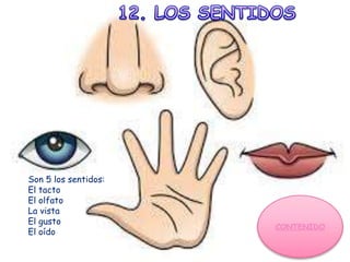 Son 5 los sentidos:
El tacto
El olfato
La vista
El gusto
El oído
 