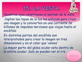 Nuestros ojos constituyen el sentido de la vista
Captan los rayos de la luz los enfocan para crear
una imagen y la convierten en una corriente de
billones de impulsos nerviosos que viajan hasta el
encéfalo
En distintas partes del encéfalo son
interpretados para crear la imagen en tres
dimensiones y en el color que ‘vemos’
La mayor parte del globo ocular esta dentro de
la orbita ocular: Solo se pueden ver el iris
 