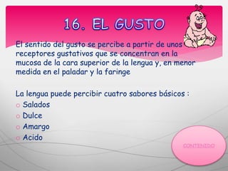 El sentido del gusto se percibe a partir de unos
receptores gustativos que se concentran en la
mucosa de la cara superior de la lengua y, en menor
medida en el paladar y la faringe
La lengua puede percibir cuatro sabores básicos :
o Salados
o Dulce
o Amargo
o Acido
 