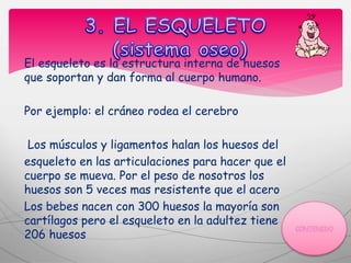 El esqueleto es la estructura interna de huesos
que soportan y dan forma al cuerpo humano.
Por ejemplo: el cráneo rodea el cerebro
Los músculos y ligamentos halan los huesos del
esqueleto en las articulaciones para hacer que el
cuerpo se mueva. Por el peso de nosotros los
huesos son 5 veces mas resistente que el acero
Los bebes nacen con 300 huesos la mayoría son
cartílagos pero el esqueleto en la adultez tiene
206 huesos
 