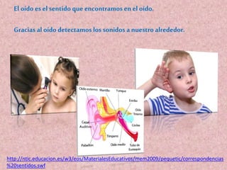 El oído esel sentido queencontramosenel oído.
Gracias al oído detectamos los sonidos a nuestroalrededor.
http://ntic.educacion.es/w3/eos/MaterialesEducativos/mem2009/pequetic/correspondencias
%20sentidos.swf
 