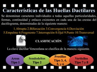 Se denominan caracteres individuales a todas aquellas particularidades,
formas, continuidad y enlaces existentes en cada una de las crestas del
dactilograma, denominadas de la siguiente manera:
1.Abrupta 2.Bifurcación 3.Convergencia 4.Desviación
5.Empalme 6.Fragmento 7.Interrupción 8.Ojal 9.Punto 10.Transversal
CLASIFICACIÓN
La clave dactilar Venezolana se clasifica de la manera siguiente.
Arcos
Tipo 1
Seudodeltos
Tipo 2
Presillas
Tipo 3, 4,
5, y 6
Verticilos
Tipo 7 y 8
 
