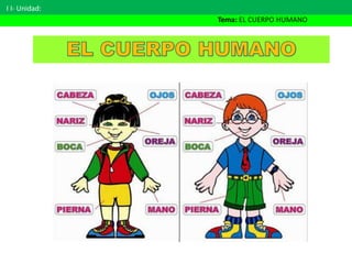 I I- Unidad:
Tema: EL CUERPO HUMANO
 