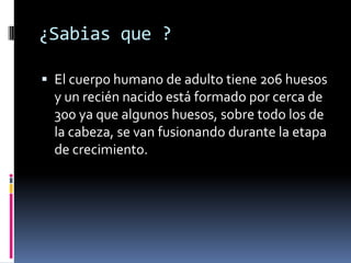 ¿Sabias que ?

 El cuerpo humano de adulto tiene 206 huesos
  y un recién nacido está formado por cerca de
  300 ya que algunos huesos, sobre todo los de
  la cabeza, se van fusionando durante la etapa
  de crecimiento.
 