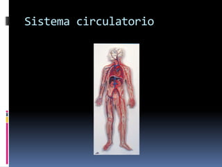 Sistema circulatorio
 