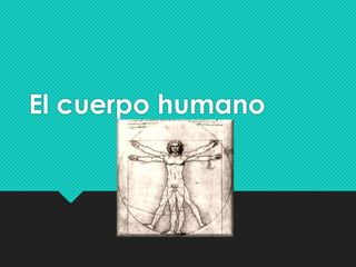 El cuerpo humano

 