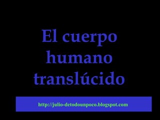 El cuerpoEl cuerpo
humanohumano
translúcidotranslúcido
http://julio-detodounpoco.blogspot.com
 