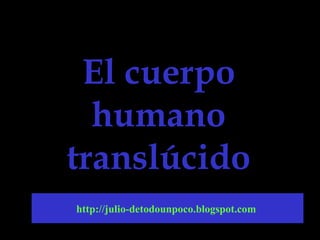 El cuerpo humano translúcido http://julio-detodounpoco.blogspot.com   