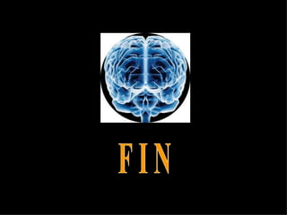 F I N 