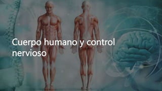 Cuerpo humano y control
nervioso
 