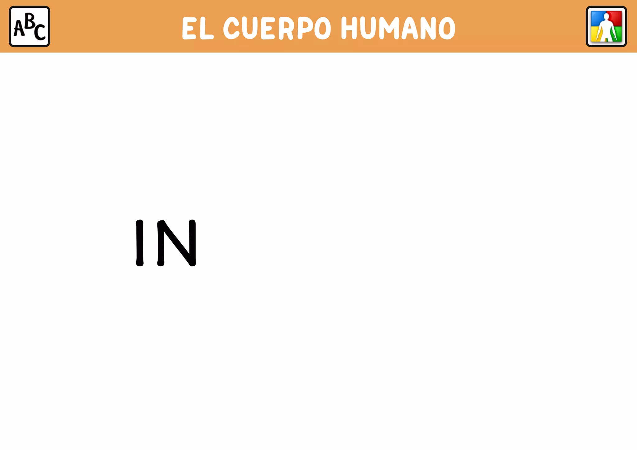 EL CUERPO HUMANO
INTESTINOS
 