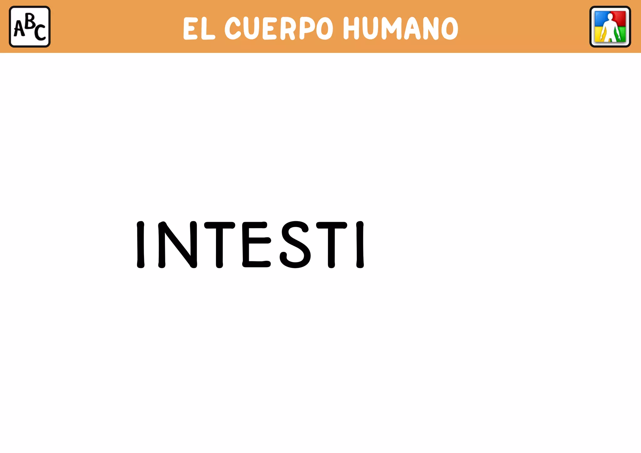 EL CUERPO HUMANO
INTESTINOS
 