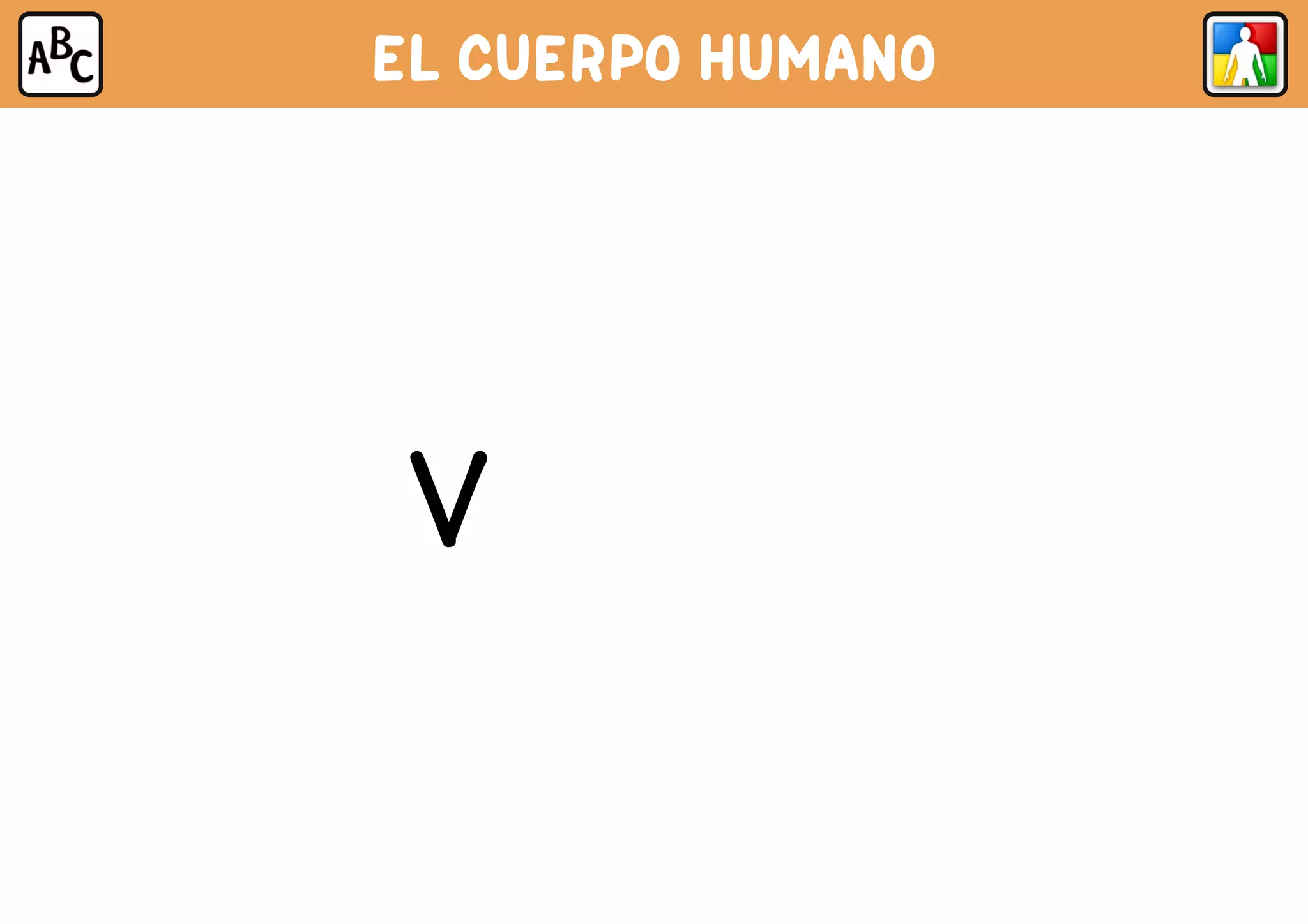 EL CUERPO HUMANO
VEJIGA
 