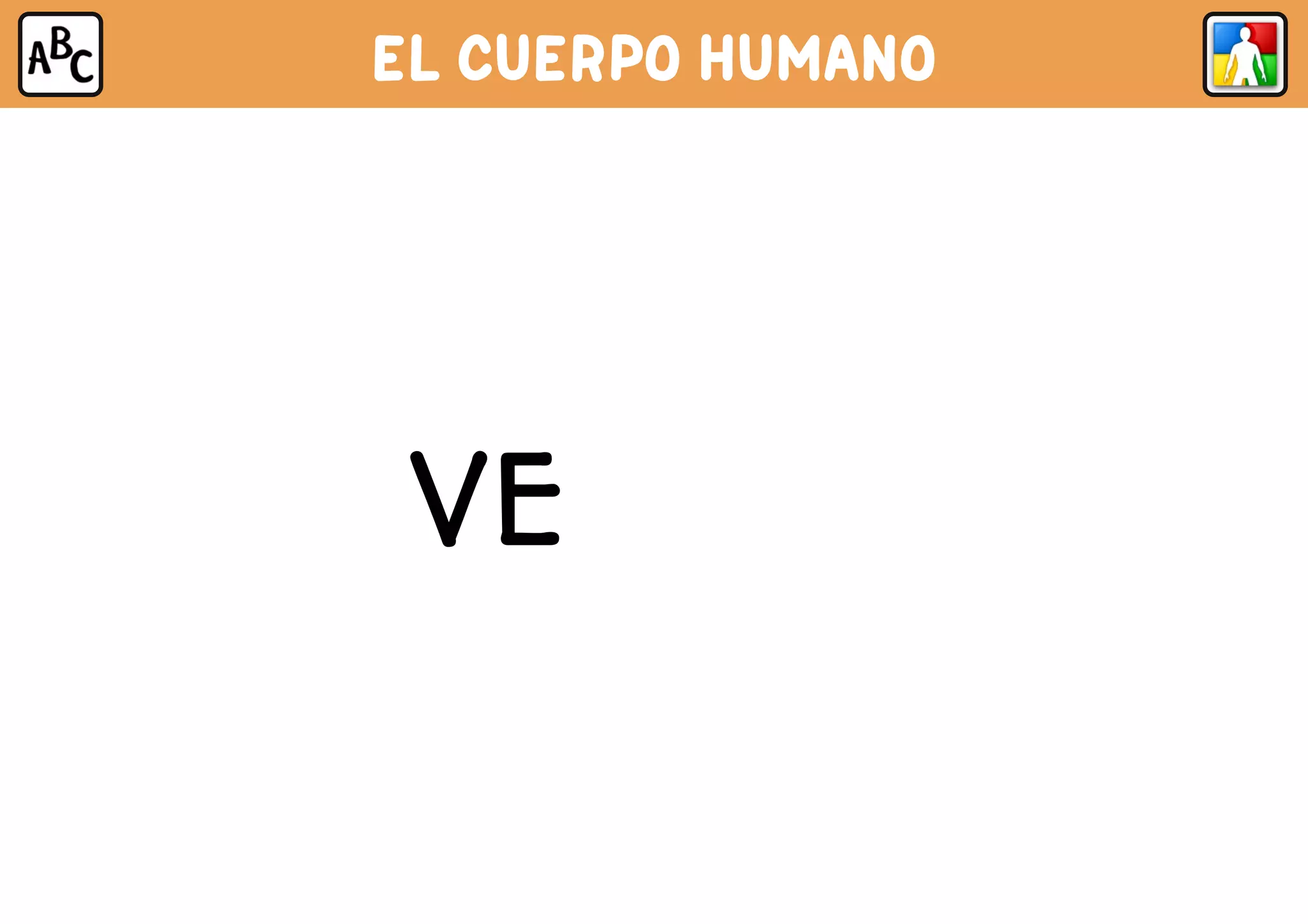 EL CUERPO HUMANO
VEJIGA
 