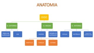 ANATOMIA
OIDO
O. EXTERNO
PABELLON
AURICULAR
CAE
O. MEDIO
HUESOS
MARTILLO YUNQUE ESTRIBO
TROMPA DE
EUSTAQUIO
O. INTERNO
COCLEA VESTÍBULO CONDUCTOS
SEMICIRCULARES
 