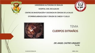 TEMA
CUERPOS EXTRAÑOS
UNIVERSIDAD AUTONOMA DE SINALOA
HOSPITAL CIVIL DECULIACAN
CENTRO DE INVESTIGACIÓN Y DOCENCIA EN CIENCIAS DE LA SALUD
OTORRINOLARINGOLOGIA Y CIRUGIA DE CABEZA Y CUELLO
DR. ANGEL CASTRO URQUIZO
R1 ORL
CULIACAN SINALOA ABRIL 2016
 