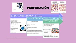 PERFORACIÓN
ENDOSCOPIA DIAGNOSITCA
1 en 5000.
Endoscopios rígidos.
Factores de Riesgo:
*Divertículo de Zenker grande.
*Osteofitos cervicales.
*Estenosis esofágica.
*Cáncer.
Índice de mortalidad:
25% Esofágica.
50-63 Nivel torácico.
0-15% Cervical.
MANIFESTACIONES CLINICAS
Varias horas o días.
Signos y síntomas:
*Dolor
*Enfisema subcutáneo
*Fiebre
*Hallazgos de neumomediastino y
neumoperitoneo clínico-radiológico
*Laboratorio Leucocitosis.
TRATAMIENTO
*Estado general del paciente.
*Tiempo de evolución.
*Presencia de patología concomitante.
Tratamiento medico:
*Nutrición parenteral
*Antibiótico
Tratamiento quirúrgico:
*MORBIMORTALIDAD ELEVADA.
Córdoba Villalobos José Angel.Procedimientos endoscopicos en gastroenterología
 