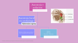 Anestesia y
sedación
Minimiza el reflejo nauseoso facilita el
paso y movilización del endoscopio.
Sedantes:
Diazepam
Meperidina y Midazolam
Anestesia local
en orofaringe
Xylocaina spray
Córdoba Villalobos José Angel.Procedimientos endoscopicos en gastroenterología
 