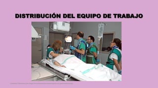 DISTRIBUCIÓN DEL EQUIPO DE TRABAJO
Córdoba Villalobos José Angel.Procedimientos endoscopicos en gastroenterología
 