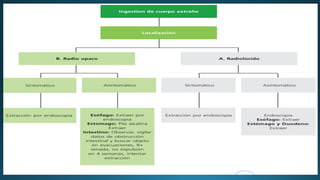CUERPOS EXTRAÑOS EN ESOFAGO para estudiantespdf