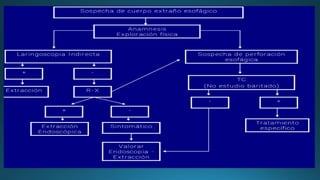 CUERPOS EXTRAÑOS EN ESOFAGO para estudiantespdf