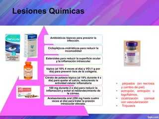 Lesiones Químicas
• párpados (en necrosis
y cambio de piel)
• ectropión, entropión o
logoftalmos.
• cicatrización corneal
con vascularización
• Triquiasís
Antibióticos tópicos para prevenir la
infección.
Ciclopléjicos-midriáticos para reducir la
incomodidad
Esteroides para reducir la superficie ocular
y la inflamación intraocular
tópico (al 10% 4 veces al día) y VO (1 g por
día) para prevenir lisis de la colágena.
Citrato de potasio tópico (al 10% durante 4 x
día) para quelar el calcio, reduciendo la
actividad celular inflamatoria
100 mg durante 2 x día) para reducir la
inflamación y evitar el reblandecimiento de
la córnea.
Acetazolamida oral (250 mg hasta cuatro
veces al día) para tratar la presión
intraouclar elevada.
 